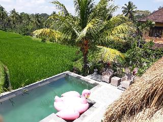 Dukuh Village Homestay & Villas fotoÄŸrafÄ±
