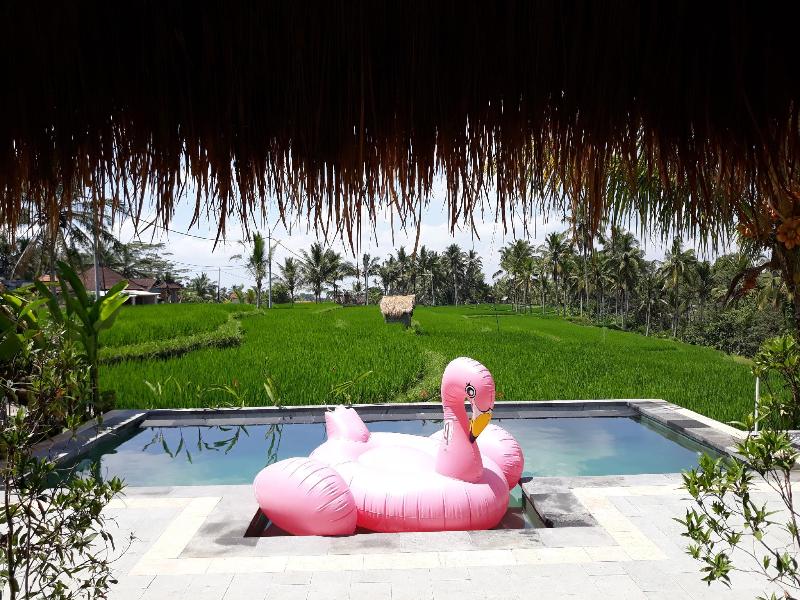 Dukuh Village Homestay & Villas - Genel