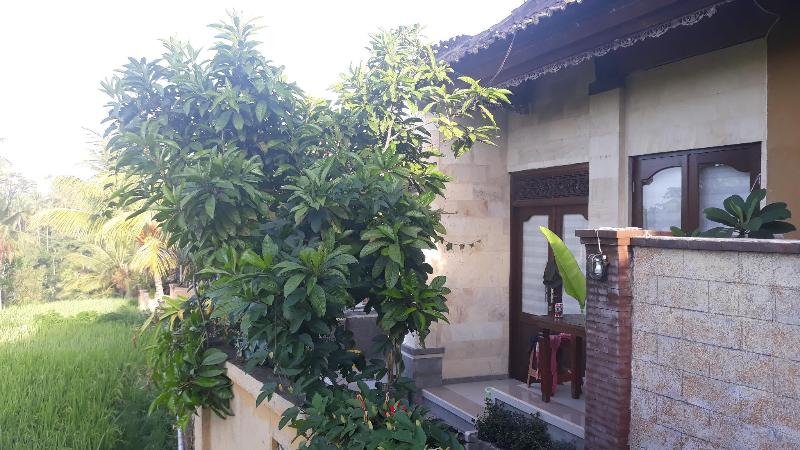 Dukuh Village Homestay & Villas - Oda