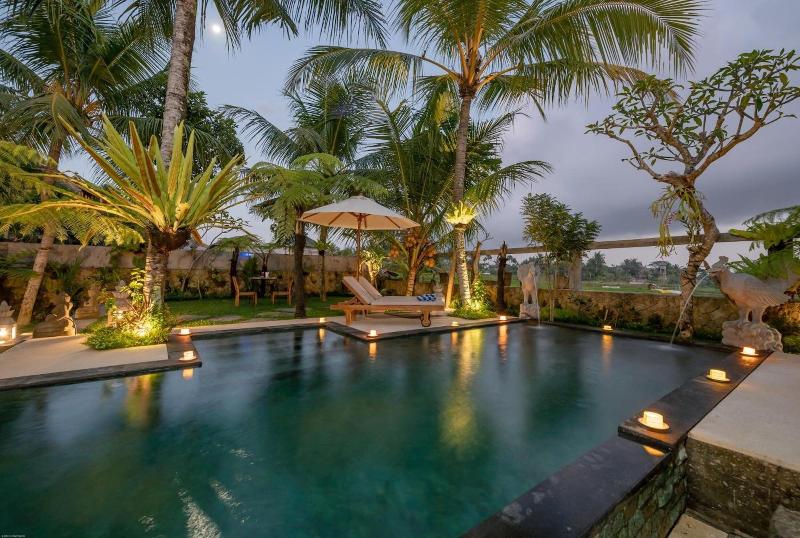 Prabhu Ubud Villa - Aktivite
