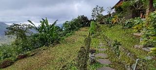 Batur Mountain View Hotel & Restaurant fotoÄŸrafÄ±