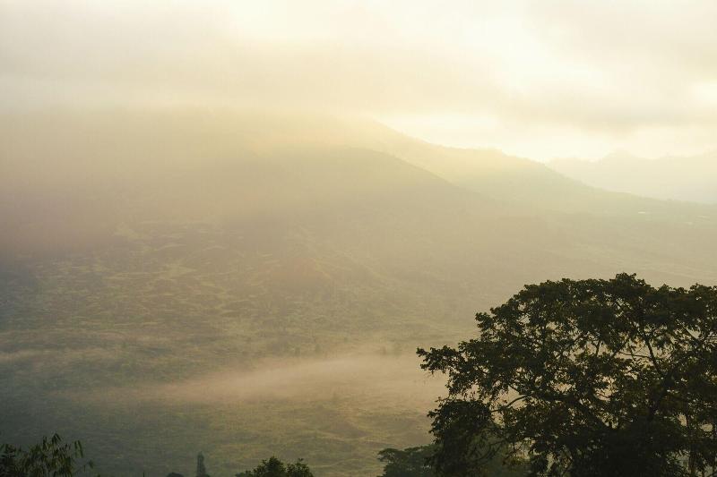 Batur Mountain View Hotel & Restaurant - Genel