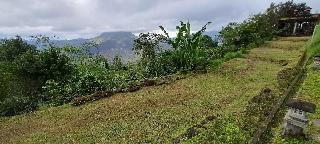 Batur Mountain View Hotel & Restaurant fotoÄŸrafÄ±