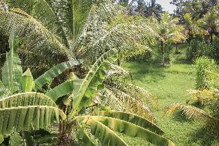 Balian Surf Villas fotoÄŸrafÄ±