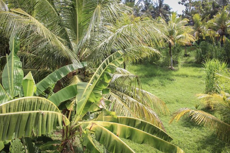 Balian Surf Villas - Oda