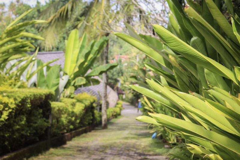 Balian Surf Villas - Oda