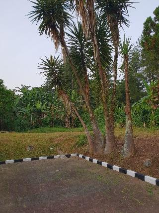 Hotel Cisarua Indah fotoÄŸrafÄ±