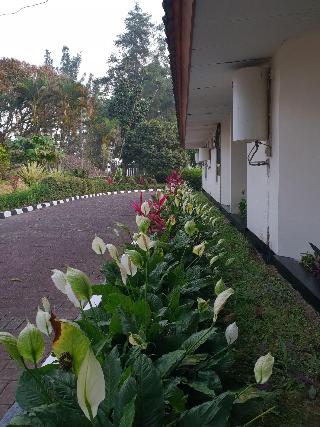 Hotel Cisarua Indah fotoÄŸrafÄ±