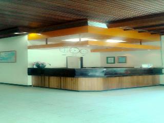 Serayu Hotel Timika otel fotoğrafı