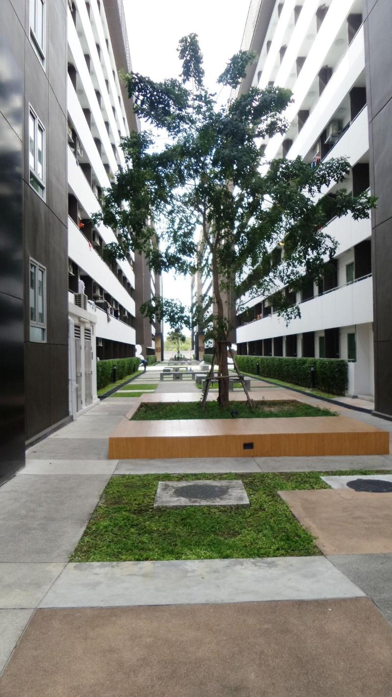 Plum Condo Phaholyothin 89 - Teras
