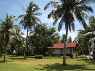Malai Asia Resort otel fotoğrafı
