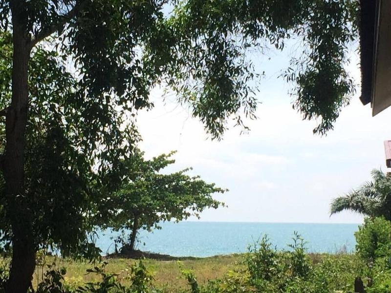Bamboo Resort - Genel