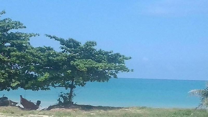 Bamboo Resort - Genel