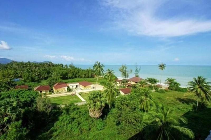 Bamboo Resort - Genel