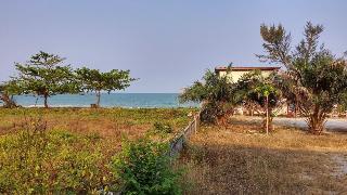 Bamboo Resort fotoÄŸrafÄ±