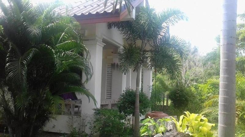 Bamboo Resort - Genel