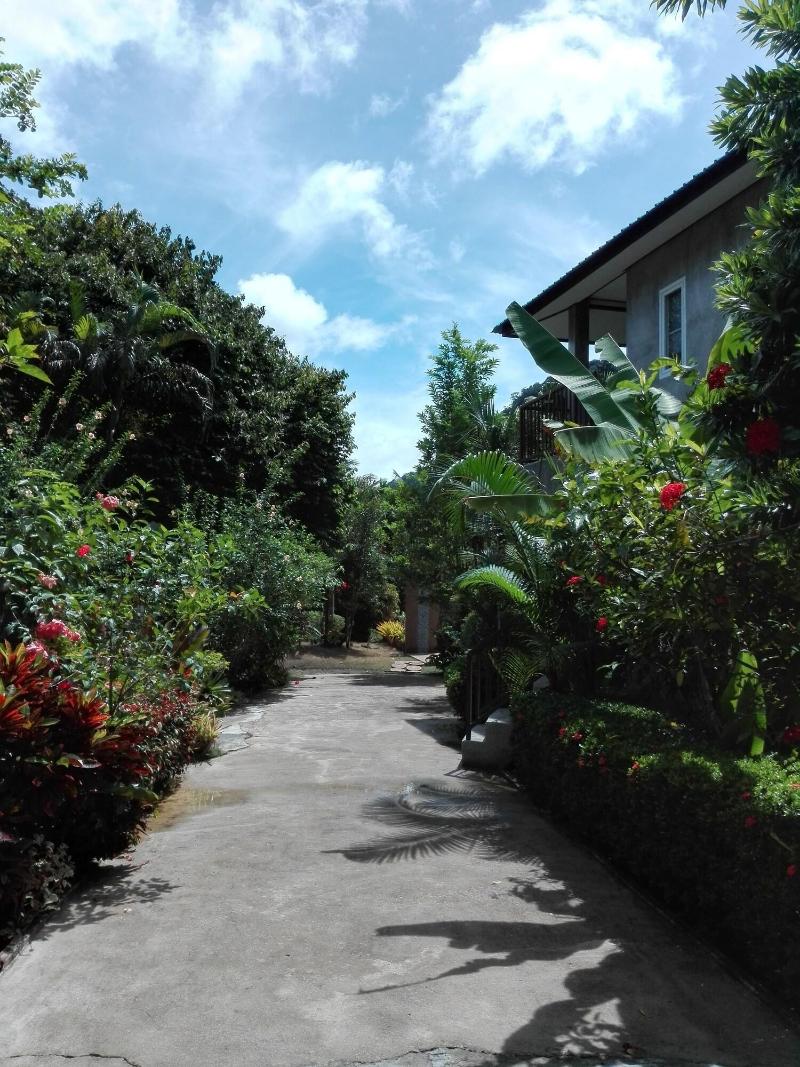Real Relax Resort & Beauty Massage - Genel