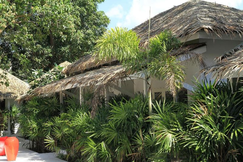 The White Cottage - Genel