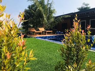 At Thara Aonang fotoÄŸrafÄ±