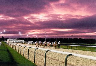Holiday Inn Wolverhampton - Racecourse fotoÄŸrafÄ±