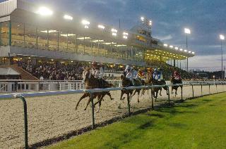 Holiday Inn Wolverhampton - Racecourse fotoÄŸrafÄ±