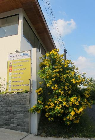 Amadha Villas Retreat fotoÄŸrafÄ±