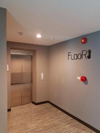 At Yaya fotoÄŸrafÄ±