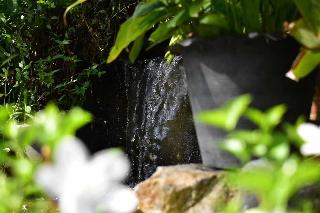 Ban Suan Chomdao Resort by ZUZU fotoÄŸrafÄ±