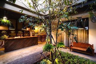 Pakping The Cozy Living Chiangmai fotoÄŸrafÄ±