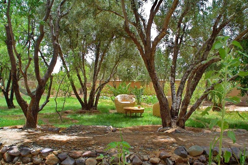 Les Jardins De Skoura - Genel