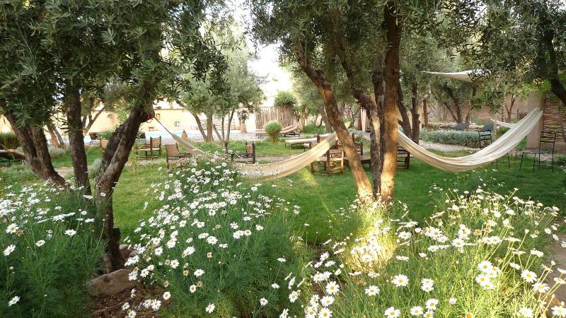 Les Jardins De Skoura - Genel