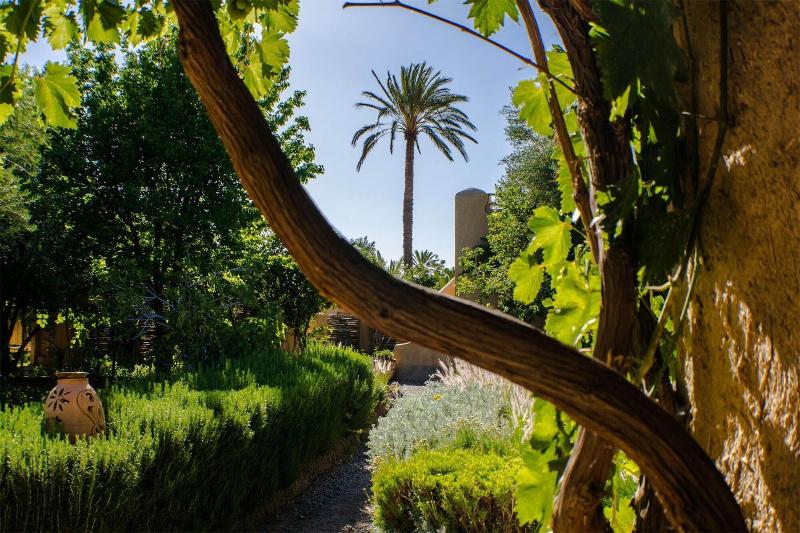 Les Jardins De Skoura - Genel