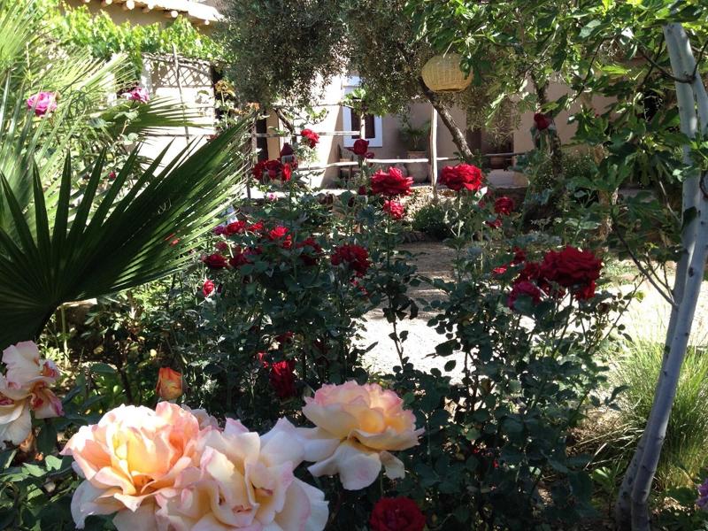 Les Jardins De Skoura - Genel