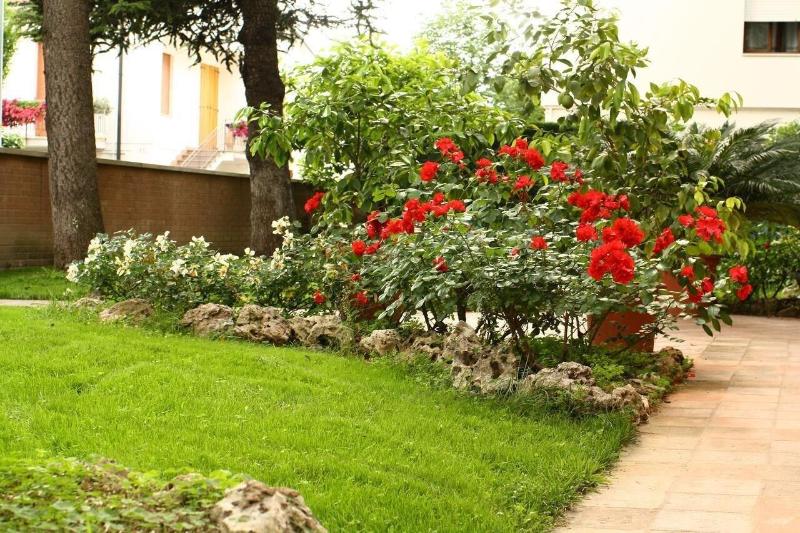 B&B Igea 50 - Genel