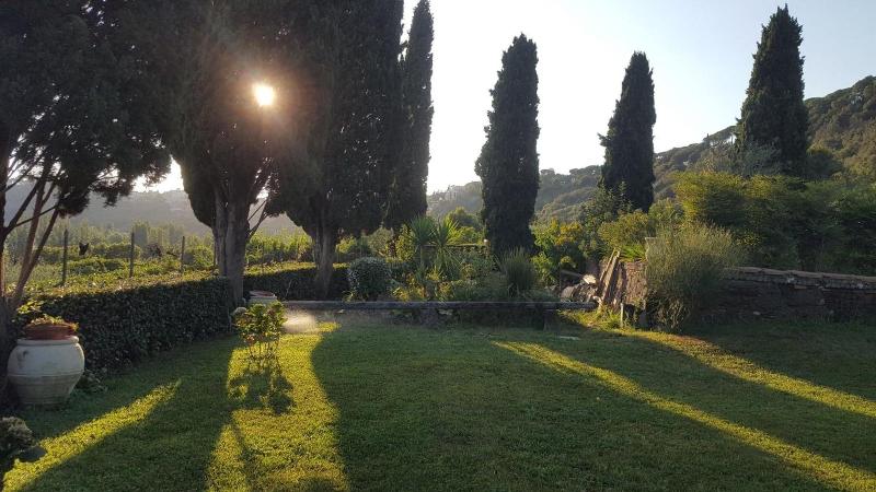 Il Nido del Falco B&B - Genel