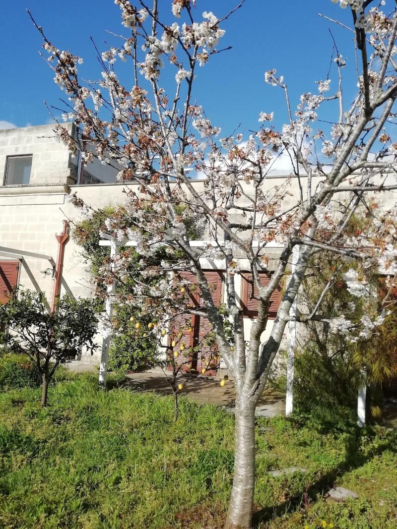 Masseria Dei 12 Granai - Genel