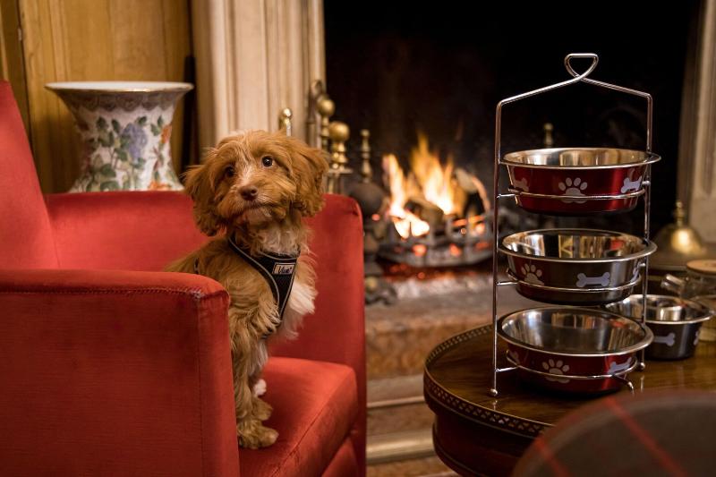 Alexander House Hotel & Utopia Spa - Genel