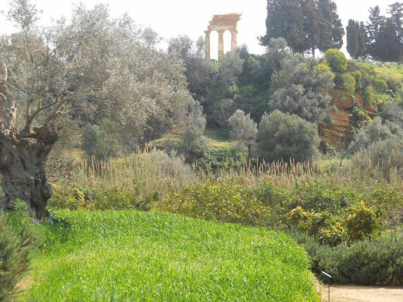 B&B San Leone - Genel