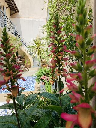 Patio Del Mar fotoÄŸrafÄ±