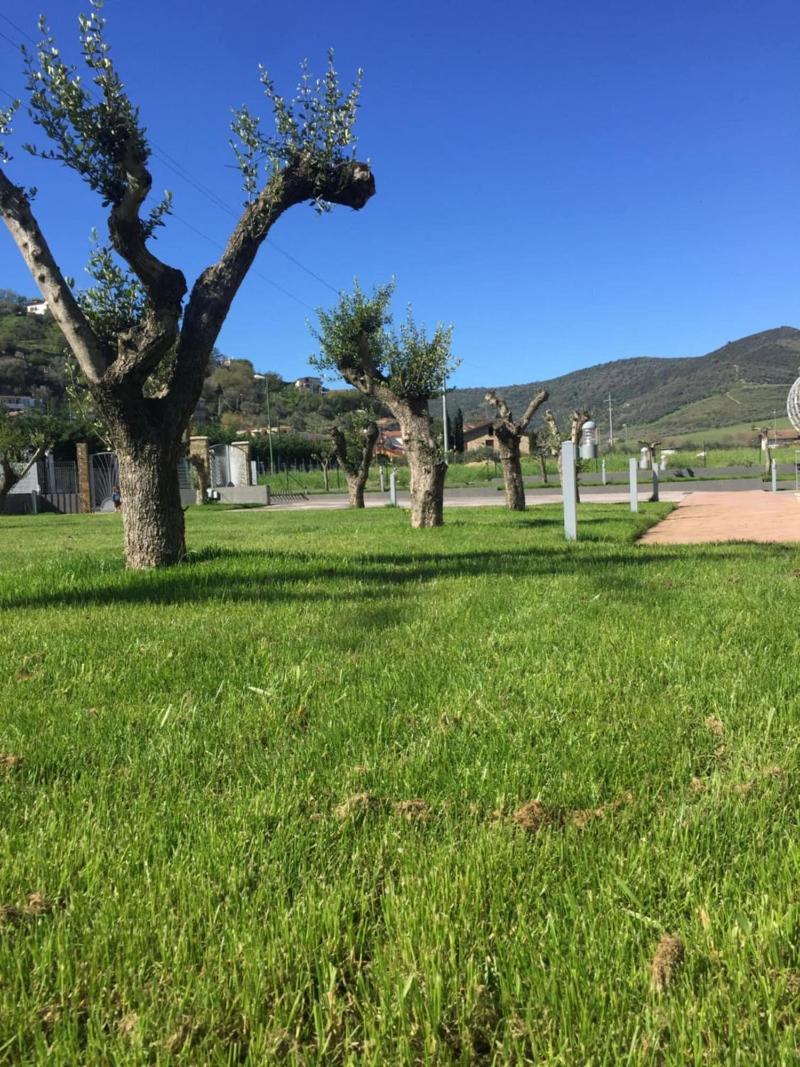 Miro' Agropoli - Genel