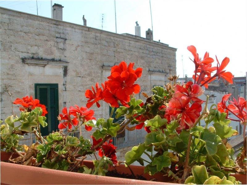 B&B Frammenti D'Itria - Genel