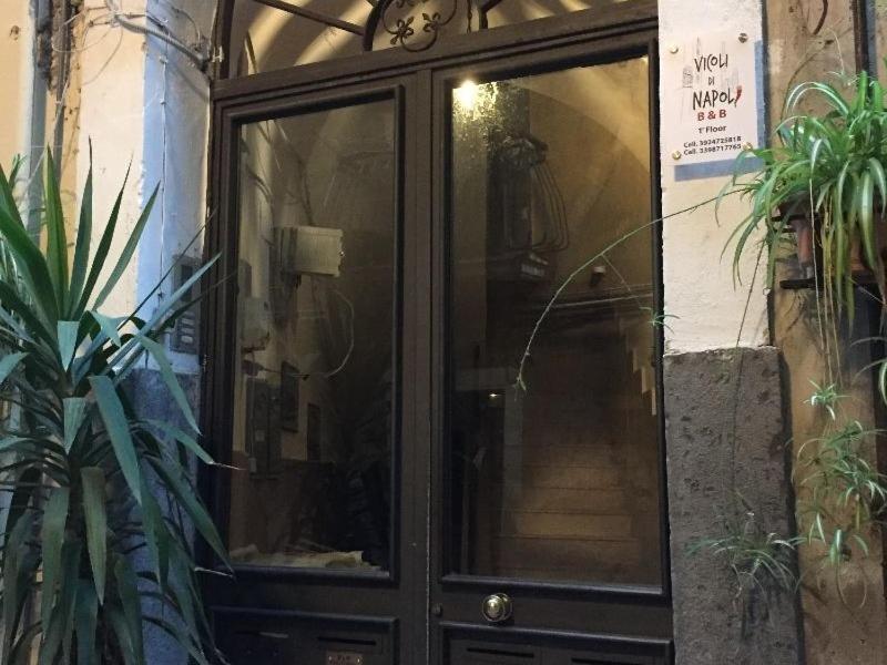 Vicoli Di Napoli - Genel