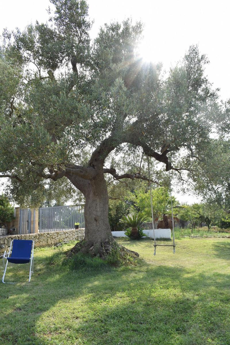 B&B La Casa Degli Artisti - Genel