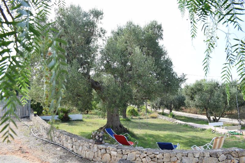 B&B La Casa Degli Artisti - Genel