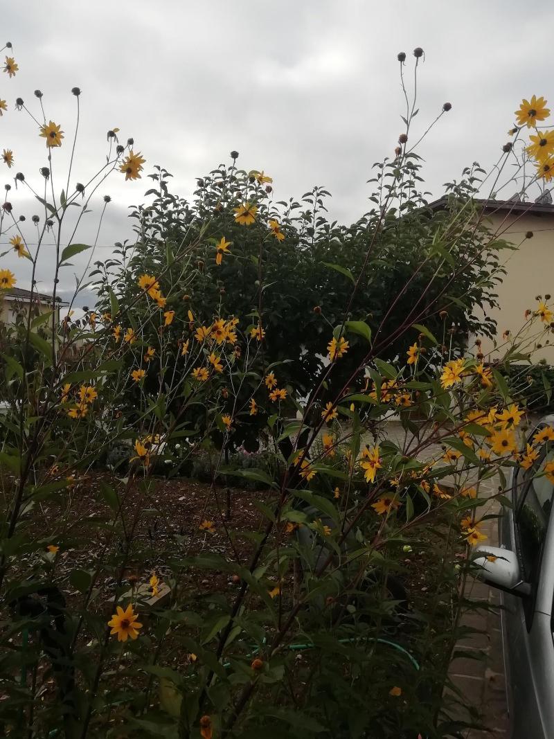 B&B La Nuova Dimora - Genel