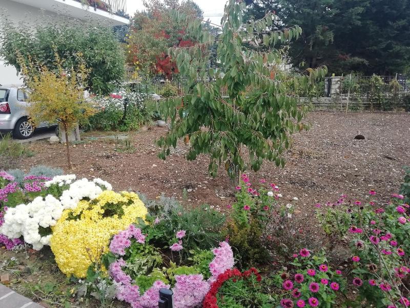 B&B La Nuova Dimora - Genel
