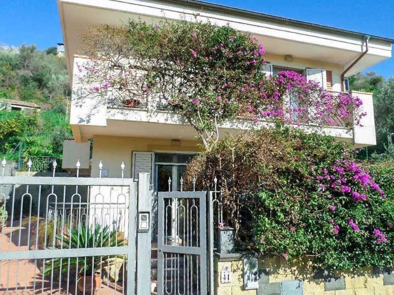 Dolce Casa N 41 - Genel
