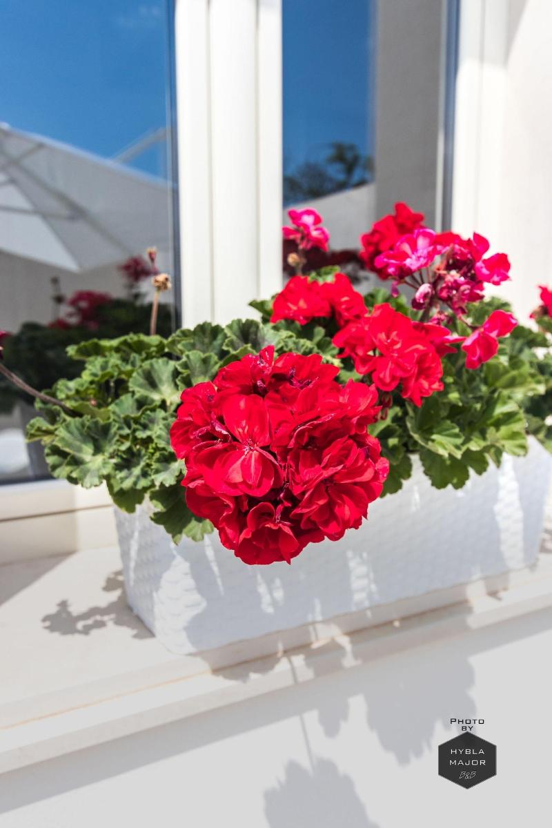 Hybla Major B&B - Genel