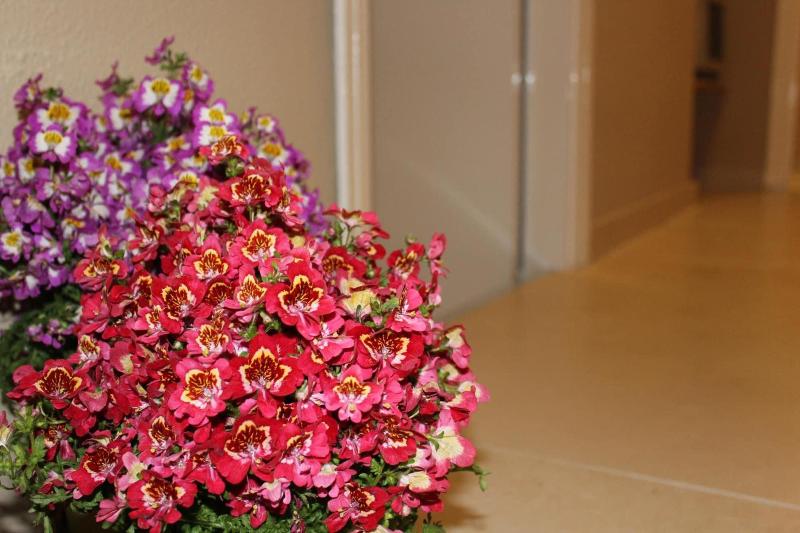 Harmony Rooms - Lobi