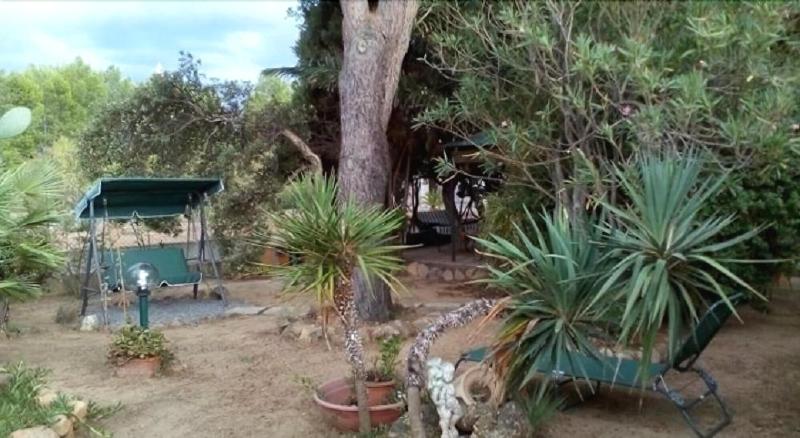 B&B Il Vigneto - Aktivite